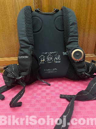 Sound system vest